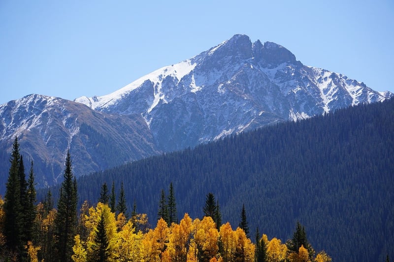 Aspen Resort